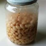 茹で白インゲン豆の保存